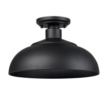 Golden 2866-OSF NB-NB - Yep by Golden Lighting Levitt 1-light Outdoor Ceiling in Natural Black and Natural Black shade